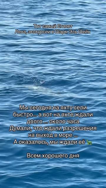 Везение или неудача ?
