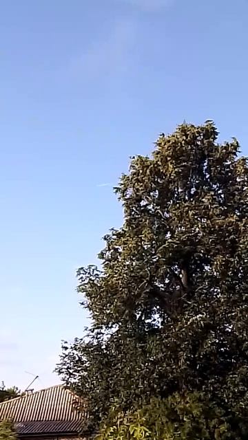 VID_2025-06-22-18-10-19-184