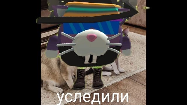 Я показываю свой скин