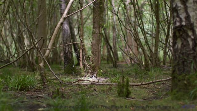Вы не видели закат таким, пока не включили этот трек! - Lasting Memories -- Scott Holmes Music -- In