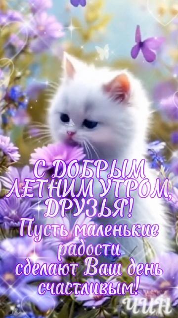 С добрым летним утром, Друзья! Счастливого нового дня!