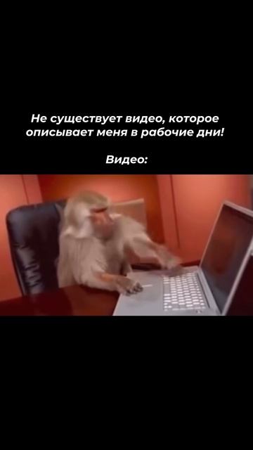 Приколы