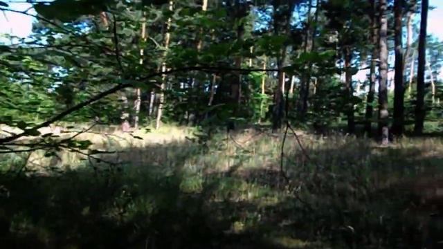 САМВЕЛ АДАМЯН, ОБЗОР ОТ СК, У САМВЕЛА ДР С АЛЕСЕЙ АНГЕЛОВОЙ В ОДИН ДЕНЬ, НАДЯ ОТКАЗАЛАСЬ ПЕЧЬ ТОРТ..