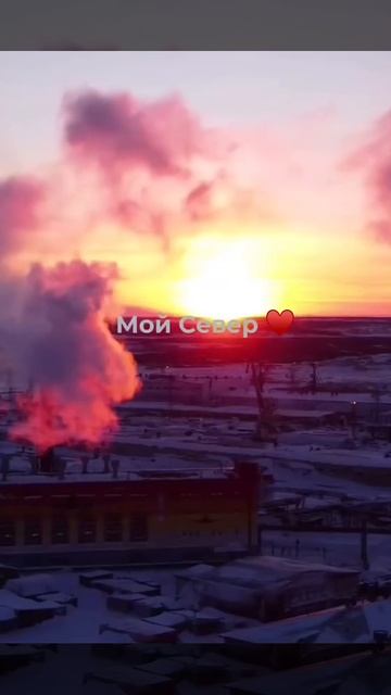 Мой Север