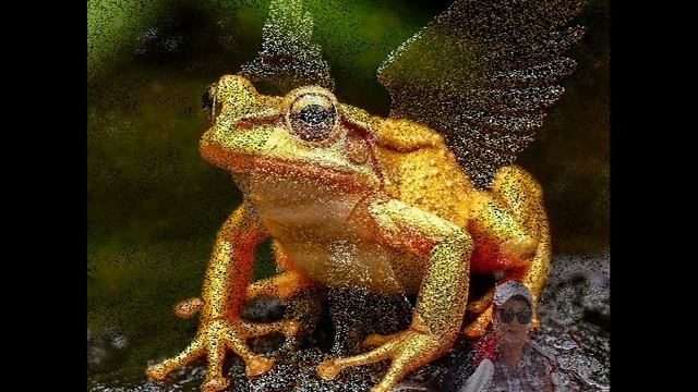 Untitled_720x576