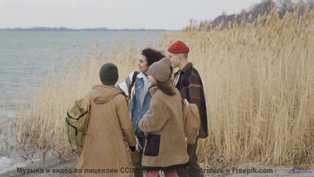 Он заставит твое сердце петь от счастья! - Hipster Girls -- The Spin Wires -- Unnamed album