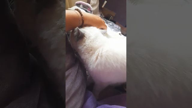 ты моя краля)))
