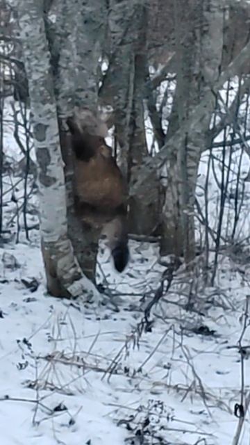 Скорей бы лето)