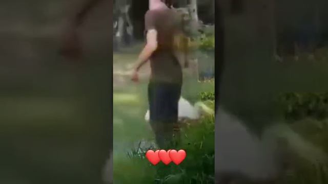 Лебединная верность 🦢🦢🦢