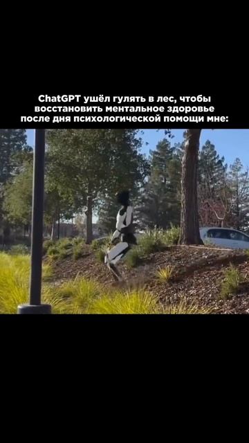 Жиза? 😁