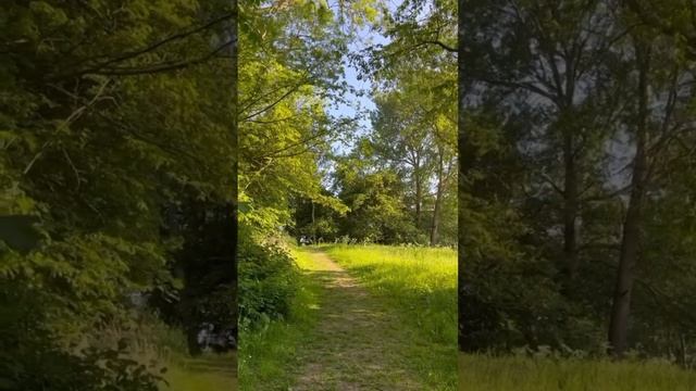 1000101711.mp4