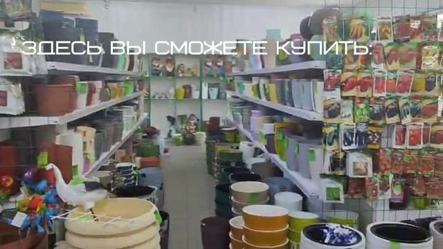 Луга-Грин