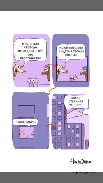 Как выйти из зоны комфорта? — Забудь про ограничения! 🐷📦