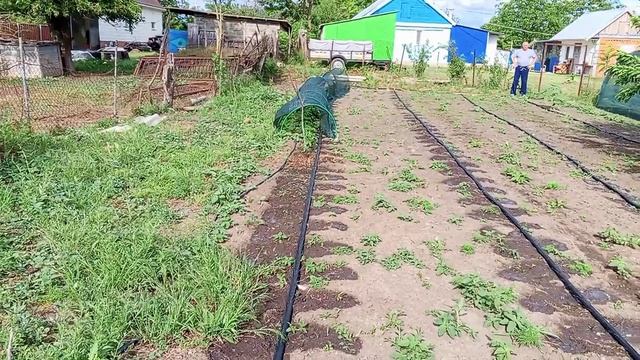 Один месяц из жизни Ореховой мечты. Коротко обо всем.