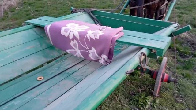 Зайчик в одноконке