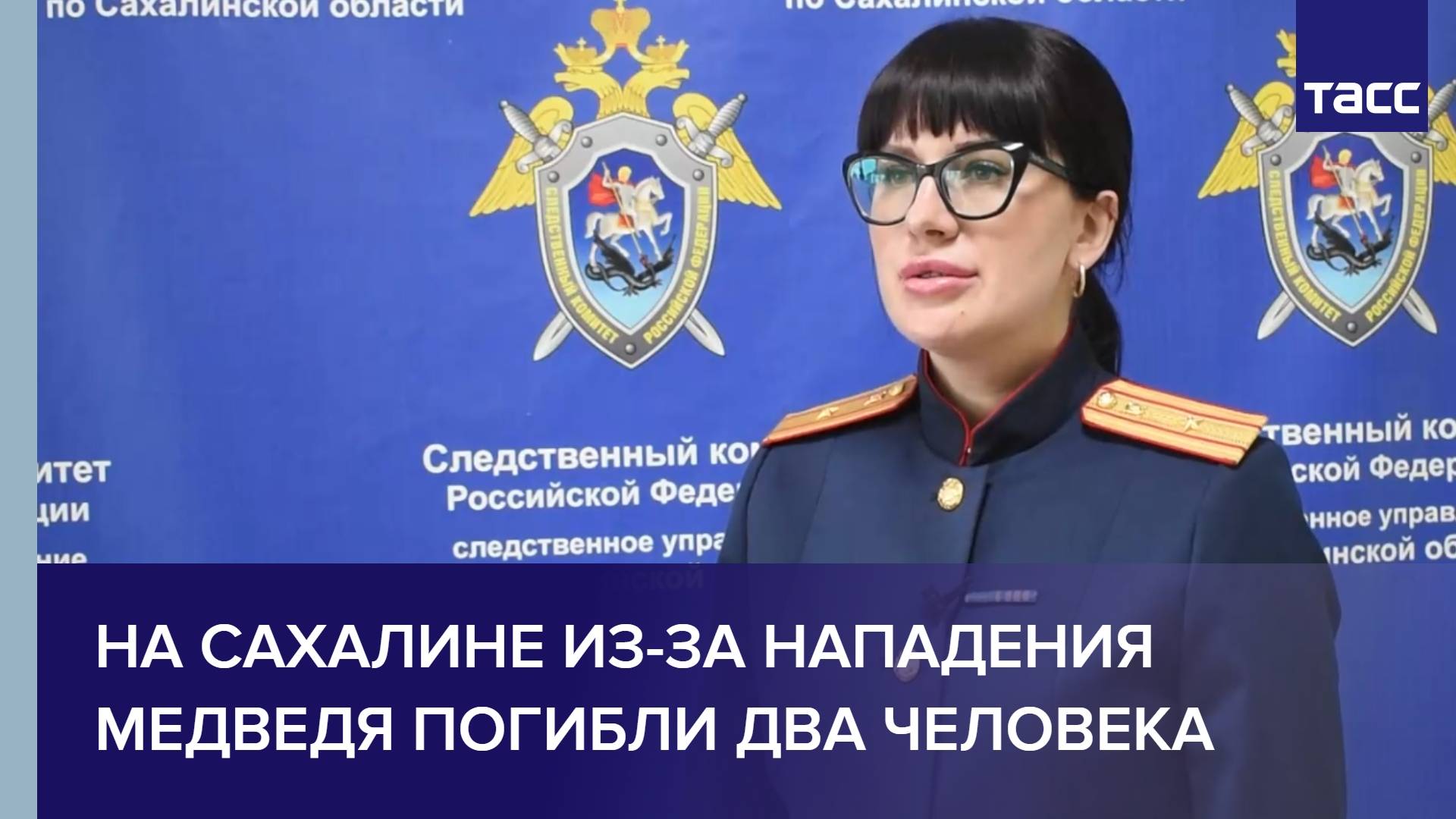 На Сахалине из-за нападения медведя погибли два человека