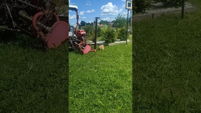 1000020426.mp4