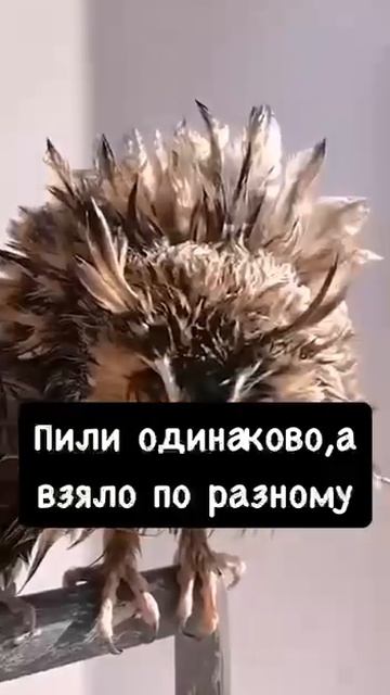 Утро воскресенья😂😂😂