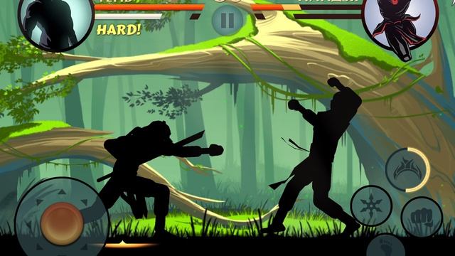 Летний Бой в Shadow Fight 2 № 344
