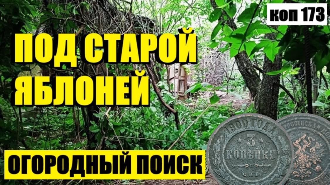 или ЧТО МОЖНО НАЙТИ НА ОГОРОДЕ.  коп 173
