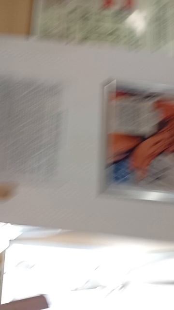 scene_output.mp4