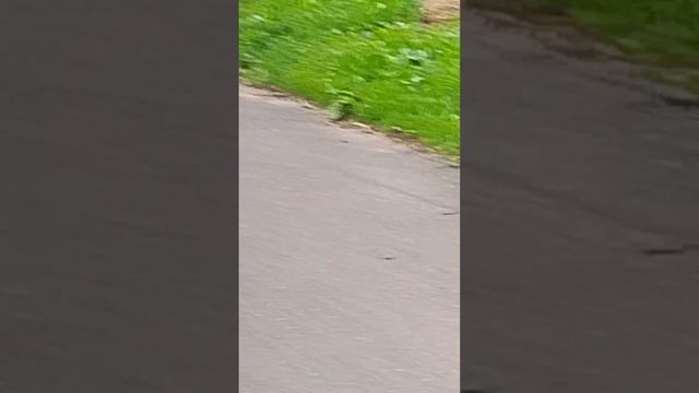 1000000939.mp4