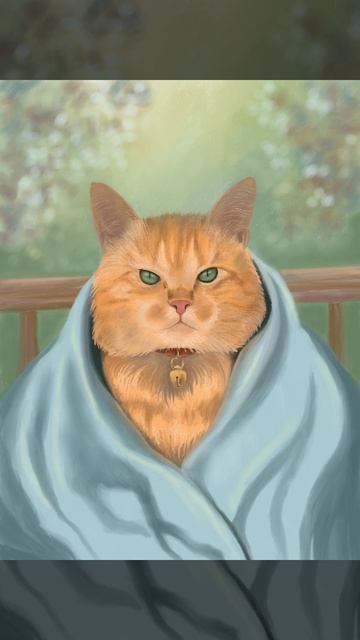 Кот и плед