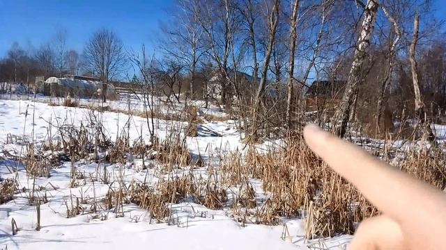 местность для покатушки на мотобуксировщике.