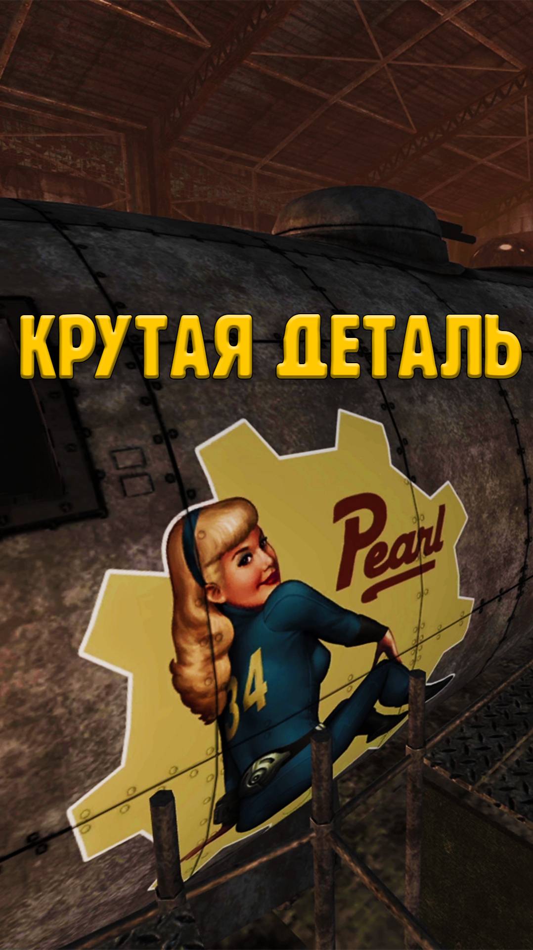 Новый самолёт Бомбистов в Fallout New Vegas
