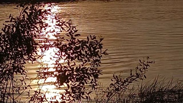 Вечером у реки 🌊 на закате 🌞🌊🌊