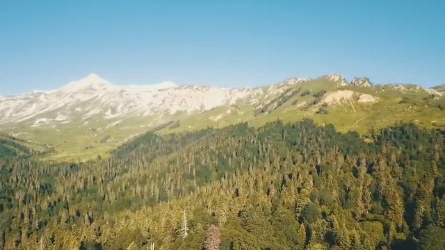 VID-20250623-WA0032