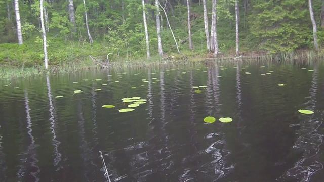 За щукой на дальнее озеро.
