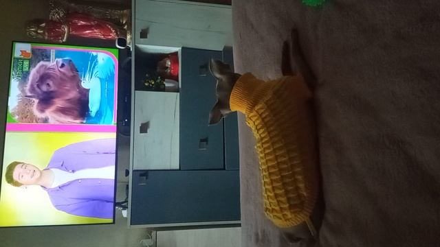 1000042396.mp4