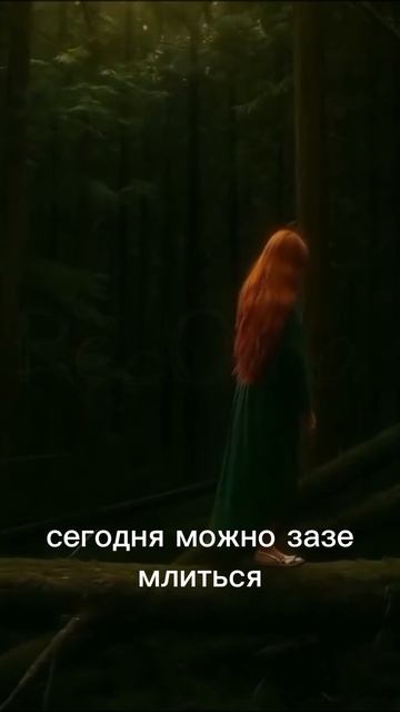 1000102265.mp4