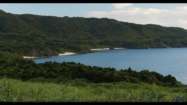 Эта музыка превращает любой отель в романтическое убежище - Amaranthine -- J Hacha De Zola -- Antipa