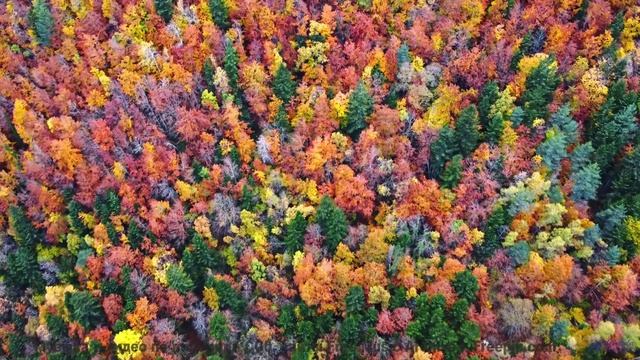 Это не просто видео - это шедевр, который трогает душу! - 05 Following-the-Crowd -- Ketsa -- Nothing