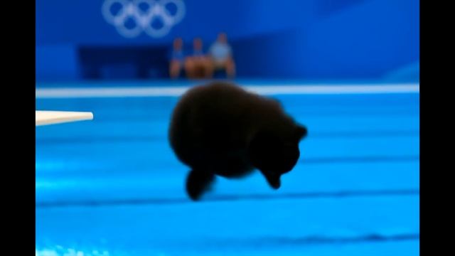 Olympic Spitz Dive Show