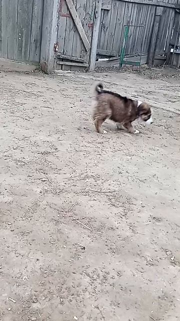 1000081564.mp4