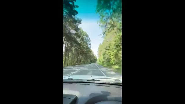 #3 Мага едет на присоска лобовом
