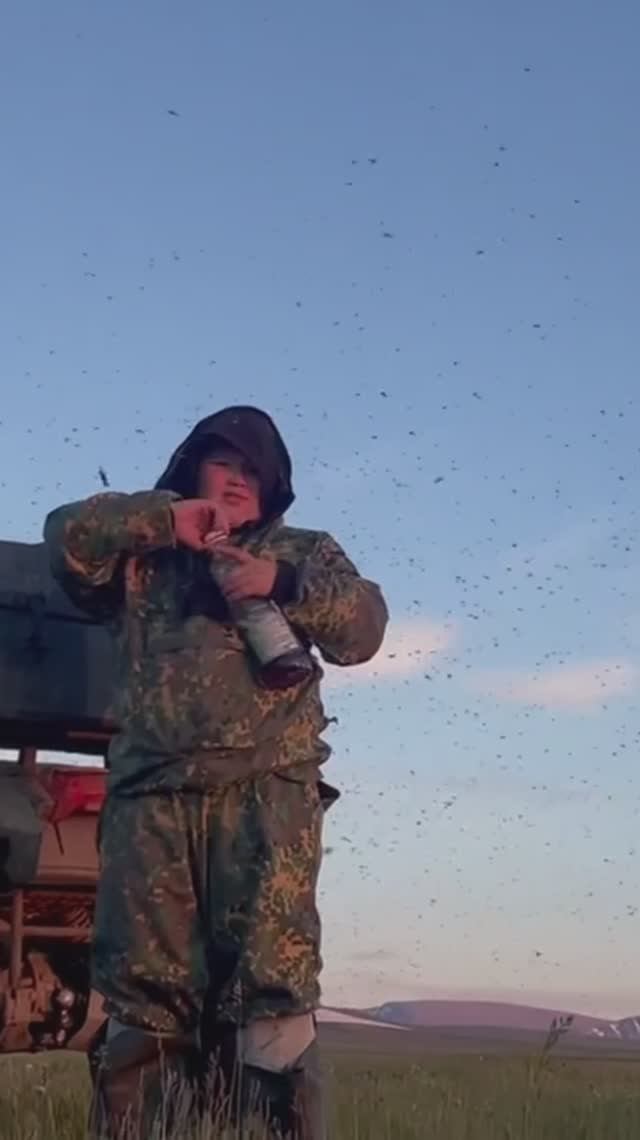 Миллион комаров