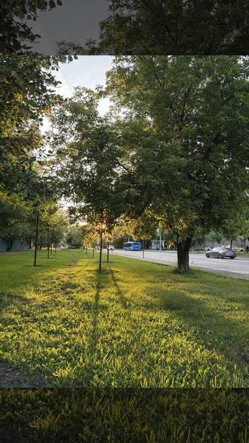 Отчёт фоток. 16-22 июня