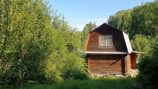 В чём жизни суть?