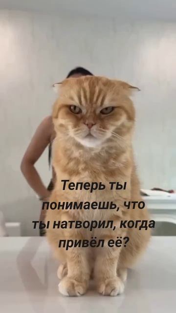 Что ты натворил?