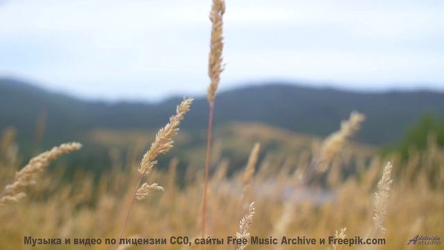 Скорость, адреналин и звуки, от которых сжимаются кулаки! - Smallest Things In The Forest-[AudioTrim