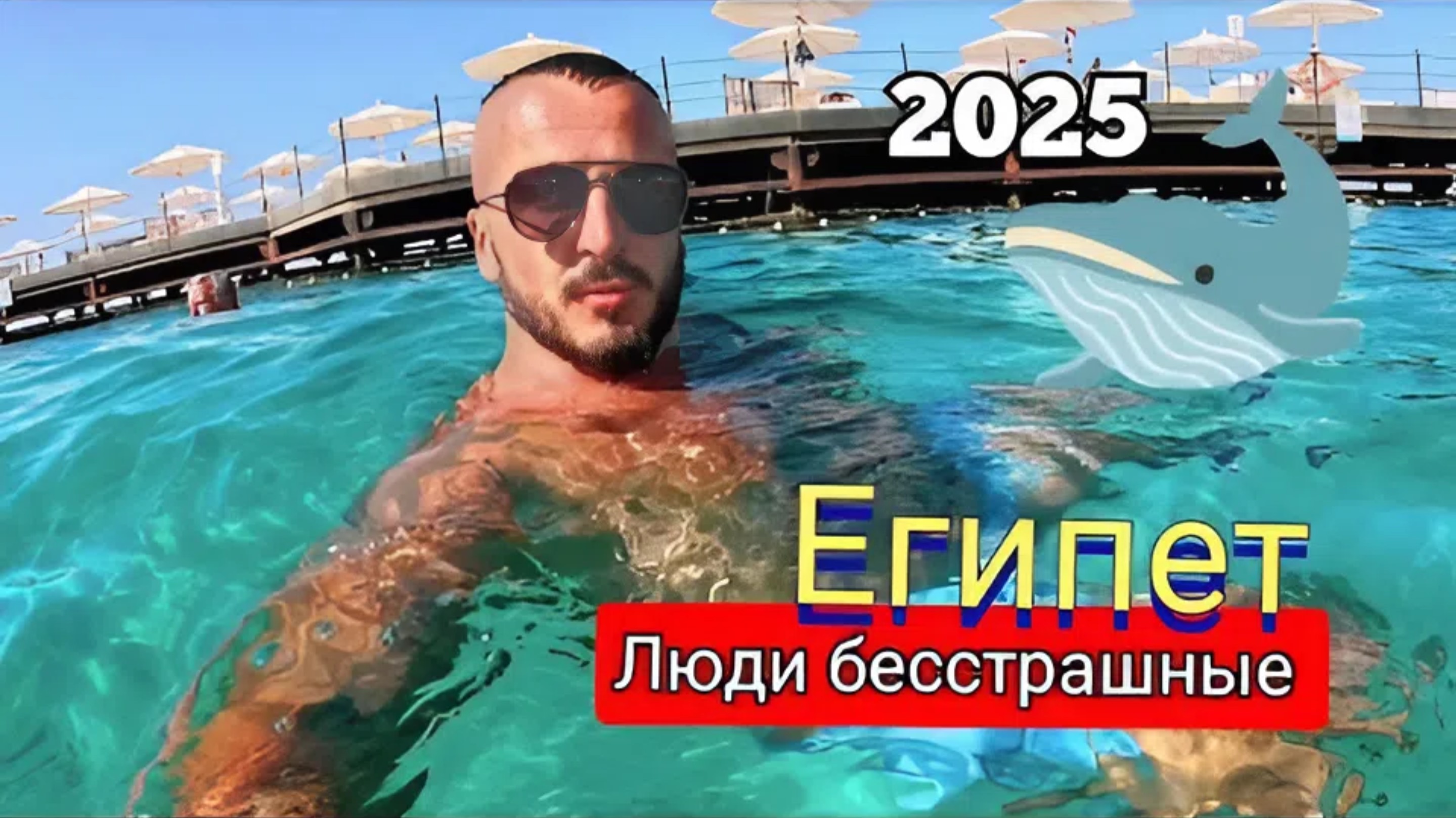 Египет 2025 🇪🇬 ЭТО ОПАСНО ❗️ ЗАЧЕМ ТУДА ПЛЫТЬ? SUNRISE Holidays Resort 5* (ужин и анимация)
