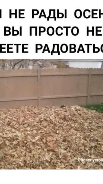 вот так нужно, прям с утра)))