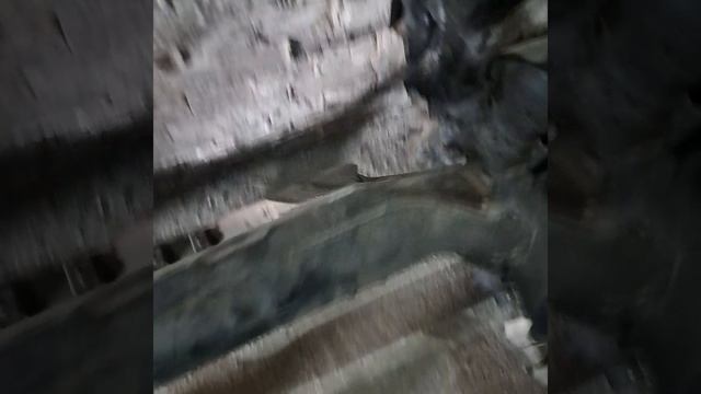 1000271113.mp4 t31 2.5
