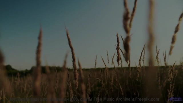Клип, созданный блокчейном - технологии меняют искусство! - Happy-Diversion -- Ketsa -- Bedding