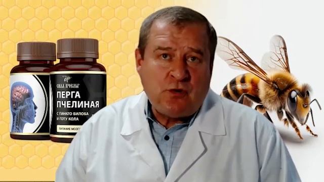 Перга. Питание мозга. Сила пчелы.