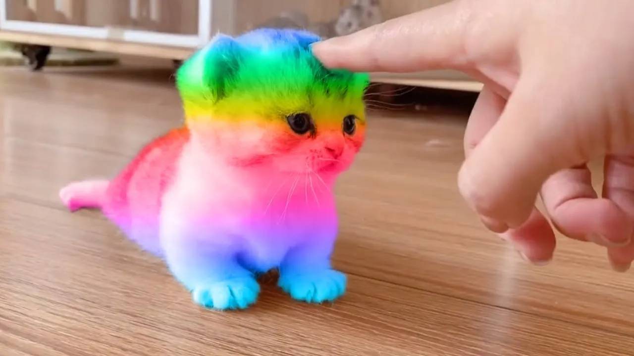 Самые смешные животные 😂 Приколы с котами и собаками 2025 😺🐶 Часть 28